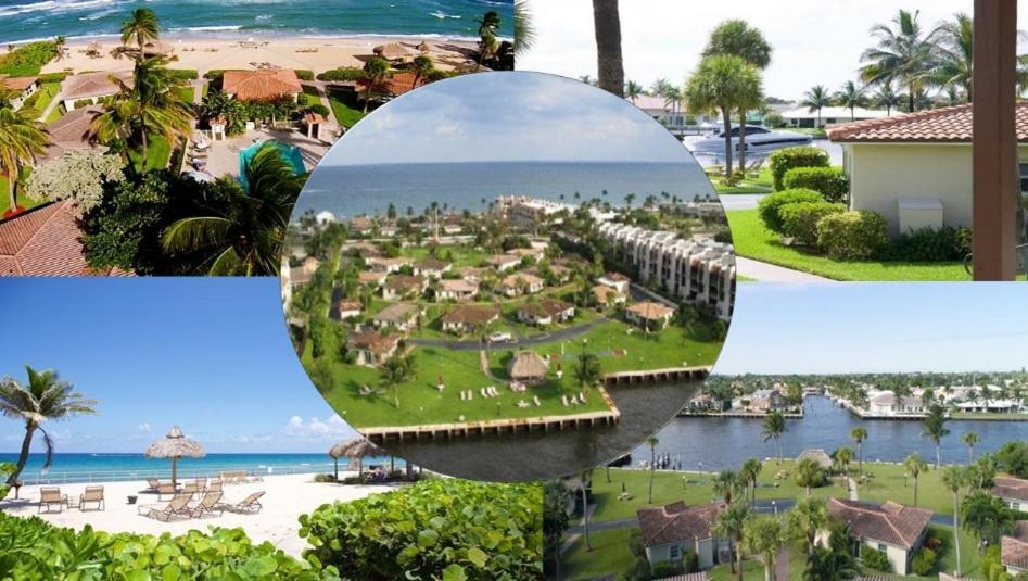 Royal Flamingo Villas Hillsboro Beach Exteriör bild